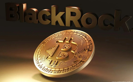 BlackRock Sells $317M Bitcoin as ETF Outflows Surge