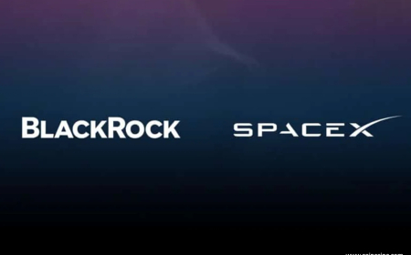 BlackRock Eyes Massive Investment in SpaceX IPO