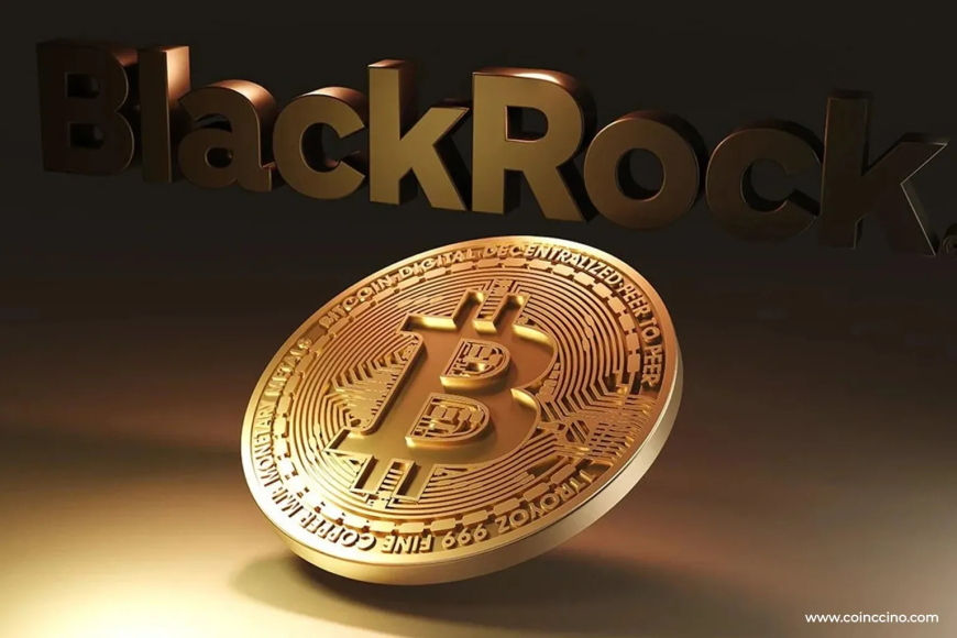 BlackRock Sells $317M Bitcoin as ETF Outflows Surge