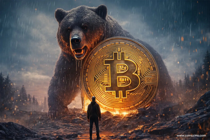 Bitcoin in Doubt Zone as Bear Market Fears Linger