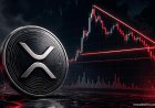 Ripple Price Analysis KW29 2026: XRP Tests Key Support and Resistance