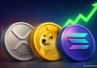 Binance Updates, Solana Outlook & Dogecoin Forecasts