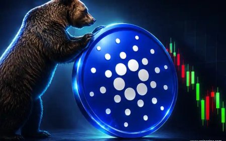 Cardano Quietly Stages a Bear Market Comeback