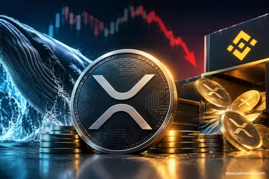 XRP Whales Withdraw 1.38B XRP From Binance