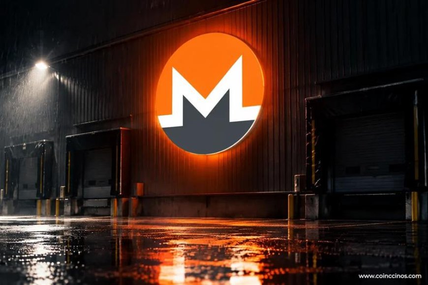 Monero Rises 12.8% as Cardano and Stellar Drop