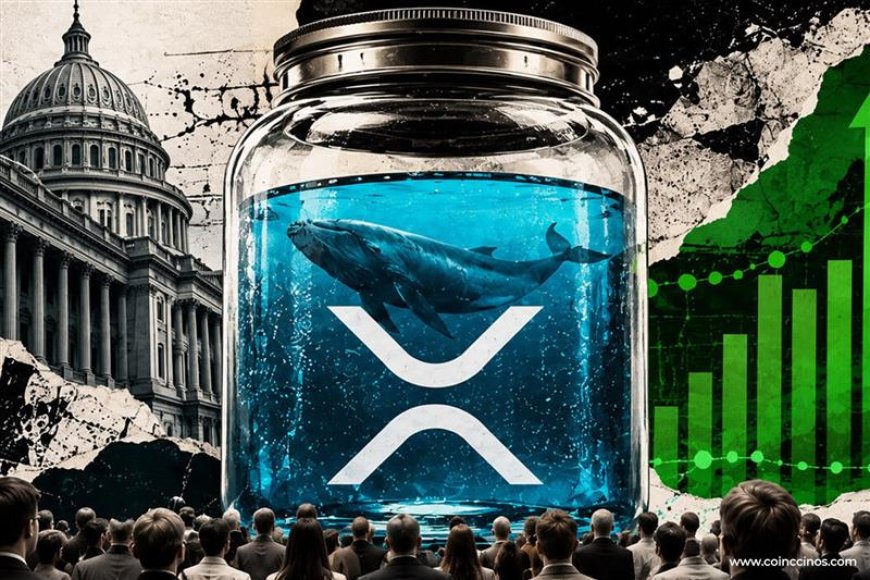 XRP Whales Retreat as Exchange Inflows Hit Seven-Month High